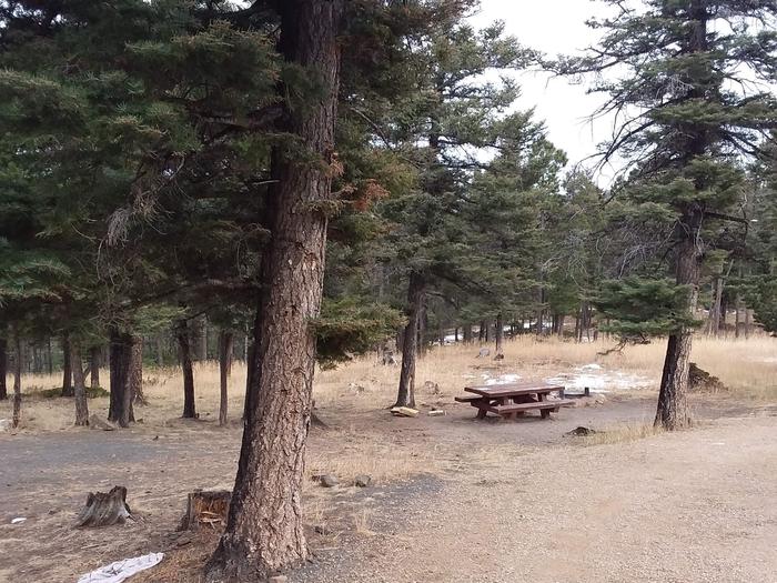 Loop B Campsite 32 with picnic table and fire pit