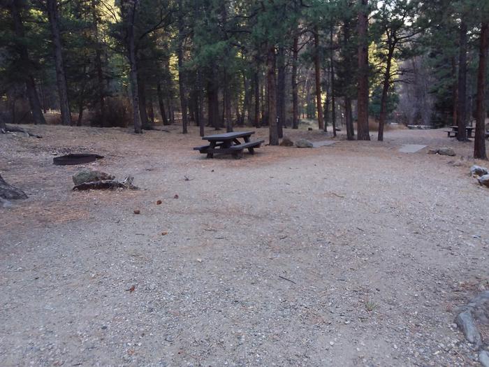 Site 11 with a picnic table, campfire ring, and parking.