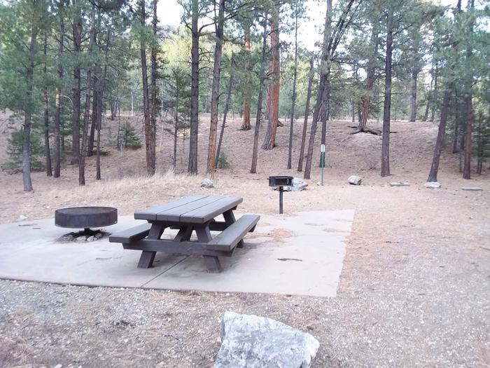 Site 14 with a picnic table, fire ring, camp grill, and parking.