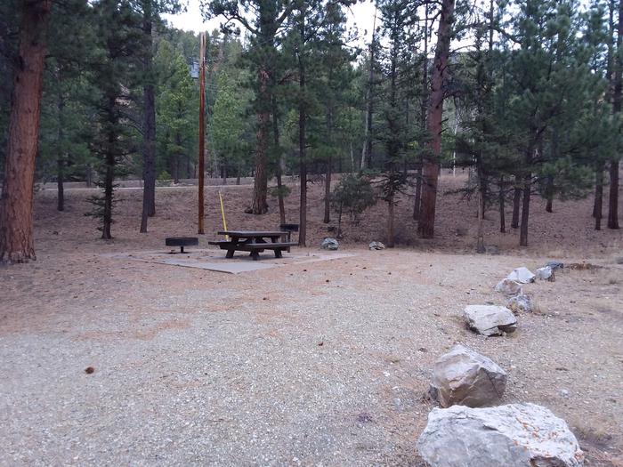 Site 16 with a picnic table, camp grill, campfire ring, and parking.