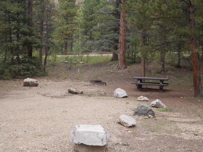 Site 17 with a picnic table, campfire ring, and parking spot.