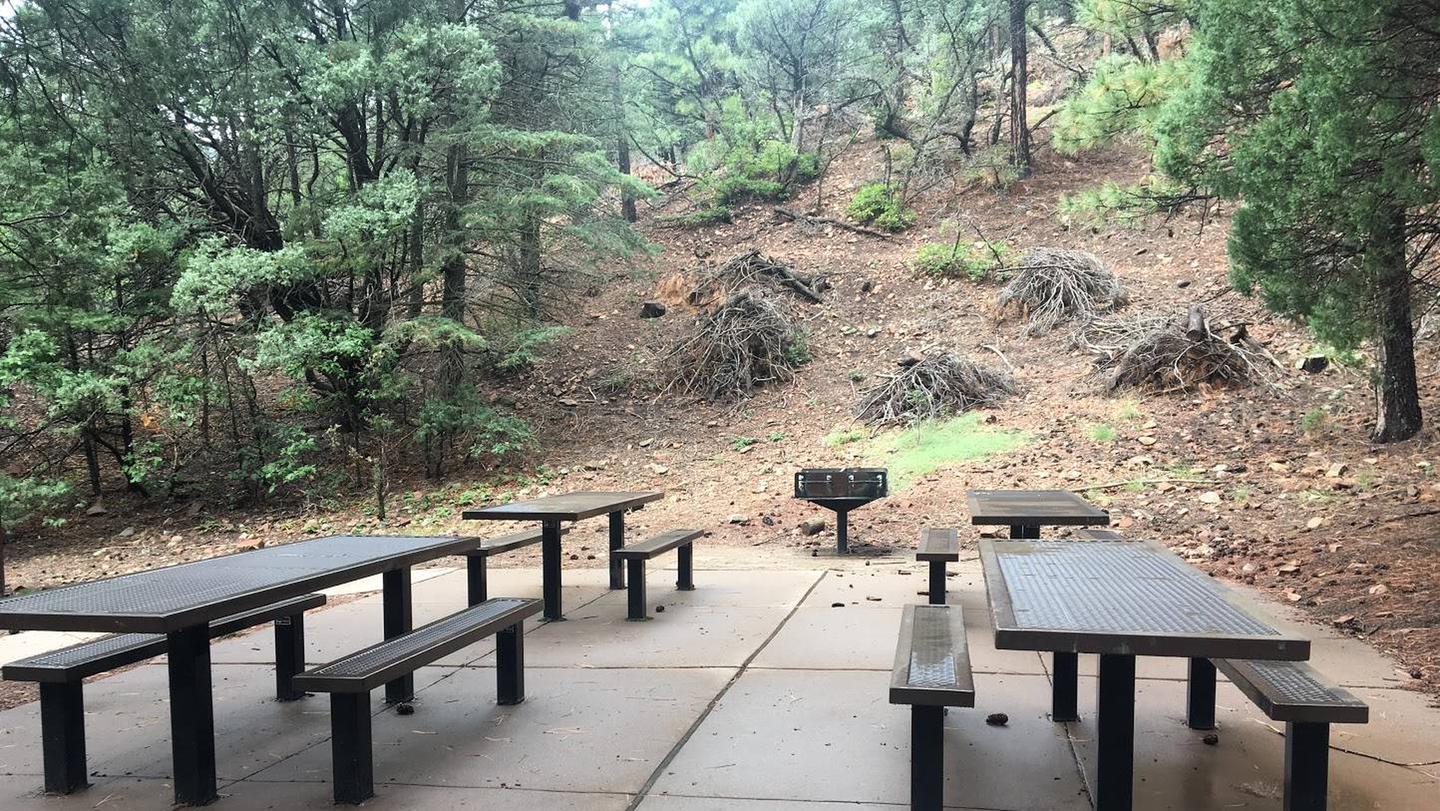 this is a picture of picnic tables in the group siteGroup site picnic tables