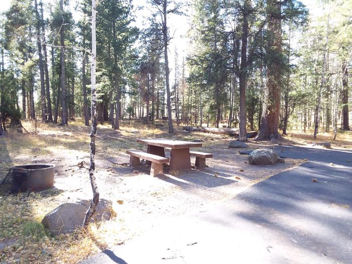 Rainbow Campground Campsite 091 Loop C: picnic table, open fire pitRainbow Campground Campsite 091 Loop C
