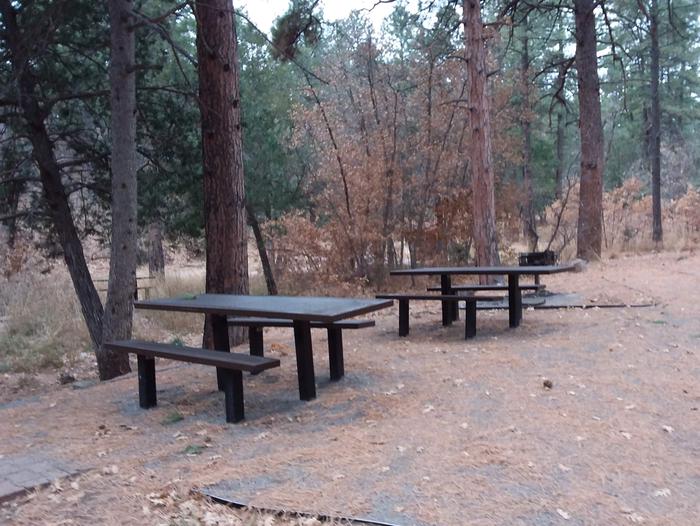 this is a picture of picnic tables at Doc LongPicnic tables in the woods at Doc Long 