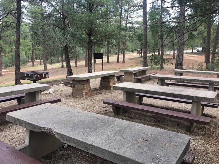this is a picture of picnic tables from a reservable Pine Flat siteExample of a reservable picnic site at Pine Flat