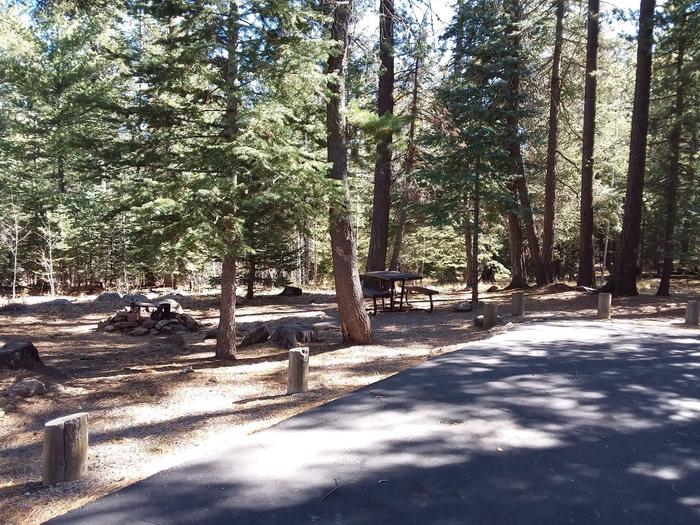 Rainbow Campground Campsite 100 Loop D: picnic table and fire pitRainbow Campground Campsite 100 Loop D