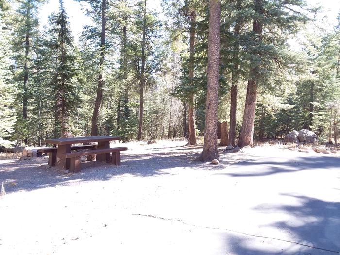 Rainbow Campground Campsite 102 Loop D: picnic table and stone fire pitRainbow Campground Campsite 102 Loop D