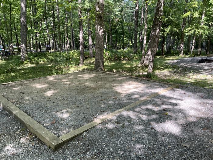 A photo of Site C51 of Loop Generator Free loop at CADES COVE CAMPGROUND with Shade, Tent Pad