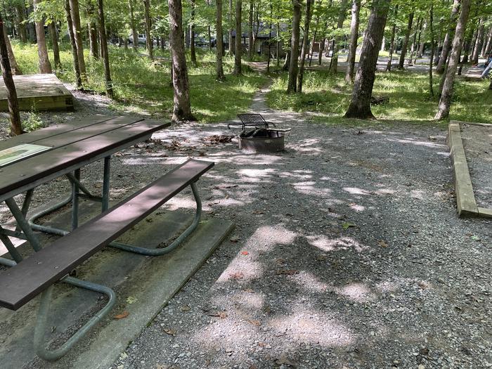 A photo of Site C51 of Loop Generator Free loop at CADES COVE CAMPGROUND with Picnic Table, Fire Pit