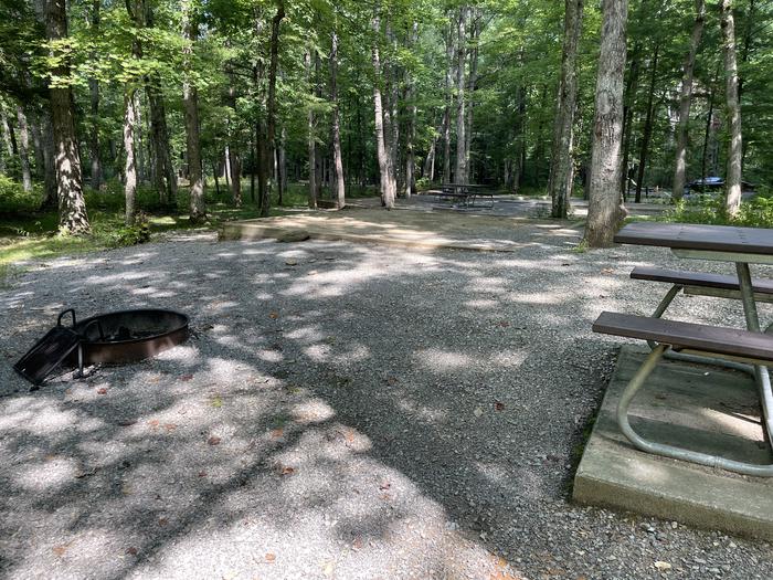 A photo of Site C49 of Loop Generator Free loop at CADES COVE CAMPGROUND with Picnic Table, Fire Pit