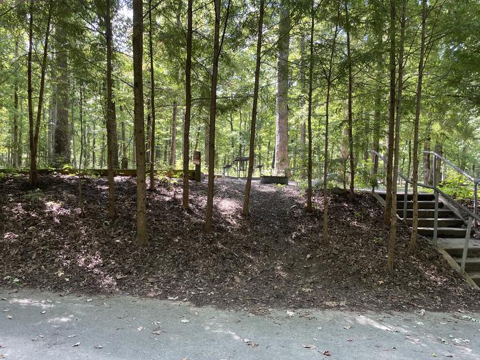 A photo of Site C27 of Loop Generator Free loop at CADES COVE CAMPGROUND with Picnic Table, Fire Pit, Shade, Tent Pad