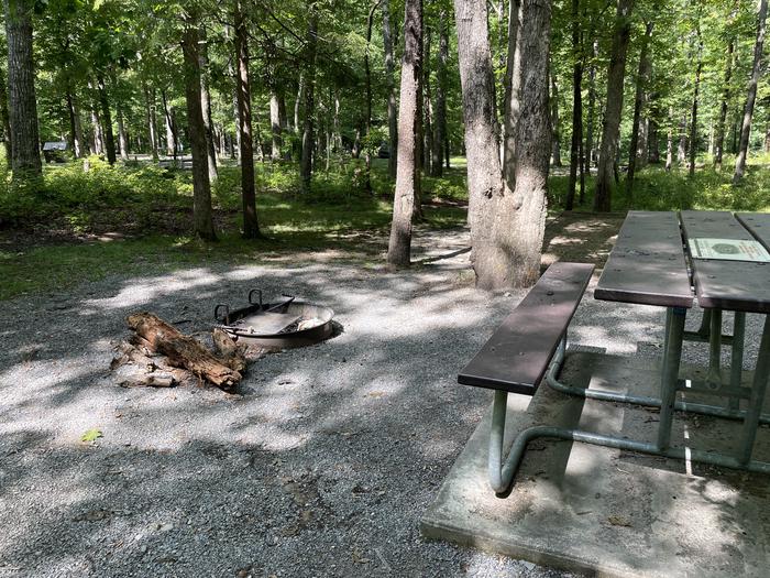 A photo of Site C47 of Loop Generator Free loop at CADES COVE CAMPGROUND with Picnic Table, Fire Pit