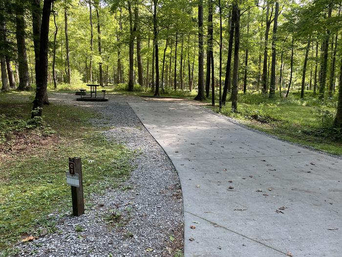 A photo of Site C07 of Loop Generator Free loop at CADES COVE CAMPGROUND with Picnic Table, Fire Pit, Shade, Tent Pad