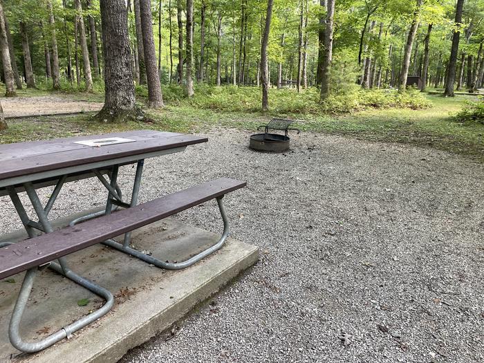 A photo of Site C07 of Loop Generator Free loop at CADES COVE CAMPGROUND with Picnic Table, Fire Pit