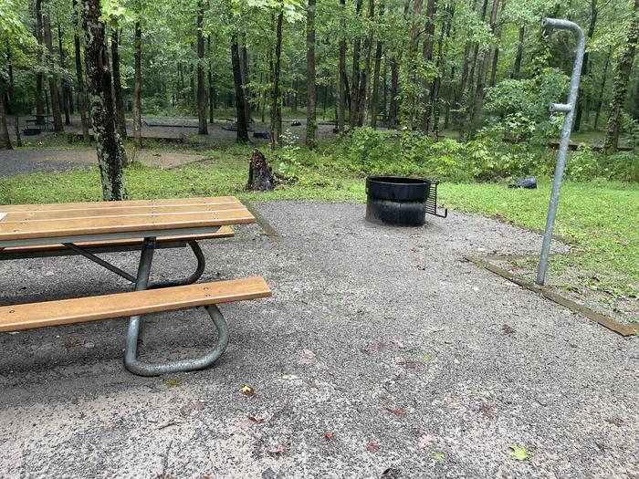 A photo of Site C48 of Loop Generator Free loop at CADES COVE CAMPGROUND with Picnic Table, Fire Pit