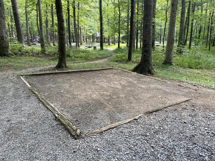 A photo of Site C07 of Loop Generator Free loop at CADES COVE CAMPGROUND with Tent Pad