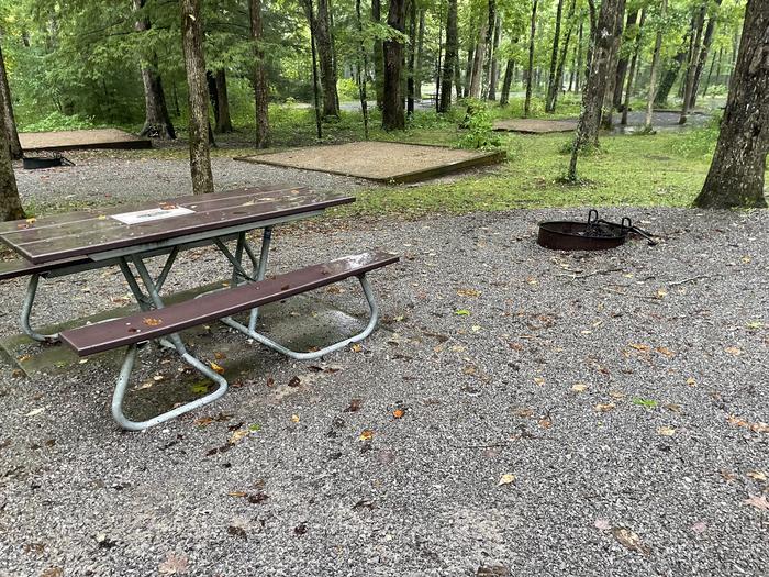 A photo of Site C70 of Loop Generator Free loop at CADES COVE CAMPGROUND with Picnic Table, Fire Pit