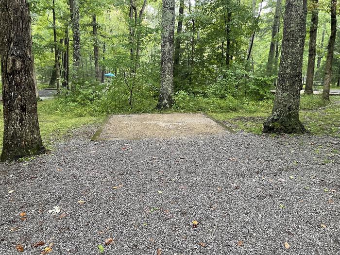 A photo of Site C70 of Loop Generator Free loop at CADES COVE CAMPGROUND with Tent Pad