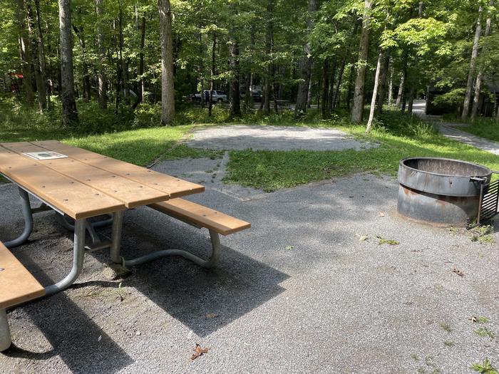 A photo of Site C57 of Loop Generator Free loop at CADES COVE CAMPGROUND with Picnic Table, Fire Pit