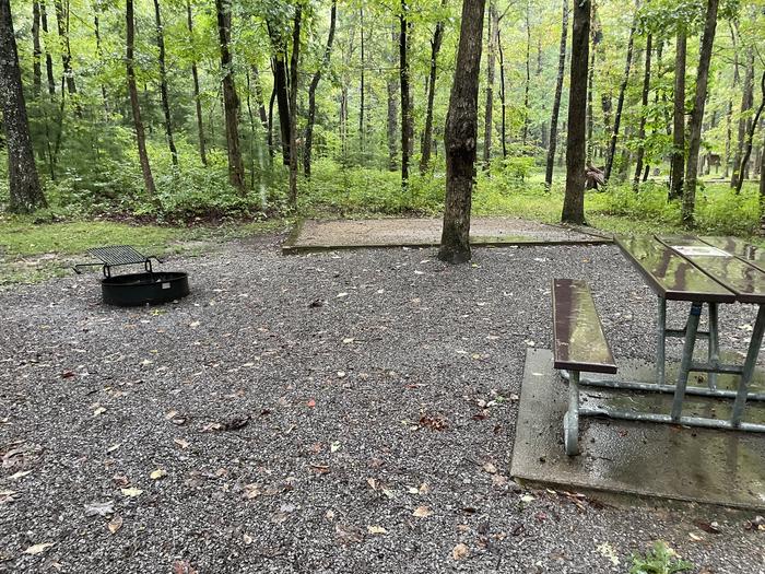 A photo of Site C73 of Loop Generator Free loop at CADES COVE CAMPGROUND with Picnic Table, Fire Pit