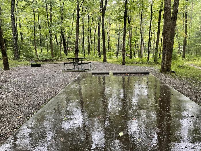 A photo of Site C73 of Loop Generator Free loop at CADES COVE CAMPGROUND with Picnic Table, Fire Pit, Tent Pad