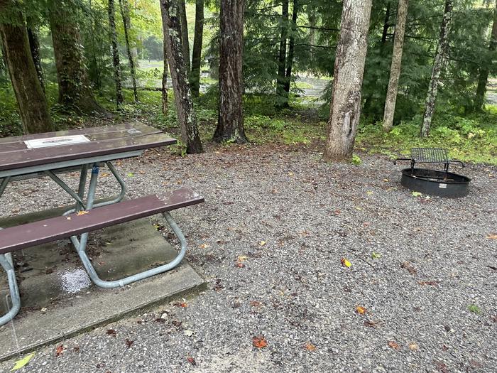 A photo of Site C15 of Loop Generator Free loop at CADES COVE CAMPGROUND with Picnic Table, Fire Pit