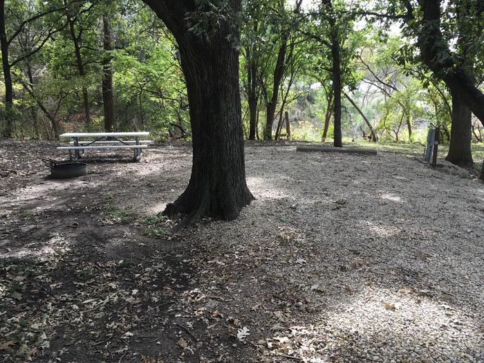A photo of Site A032 of Loop A Loop at FARNUM CREEK with Picnic Table, Electricity Hookup, Fire Pit, Shade, Water Hookup