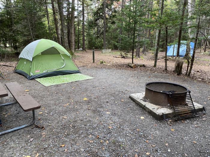 Site D27 with tent and neighbors