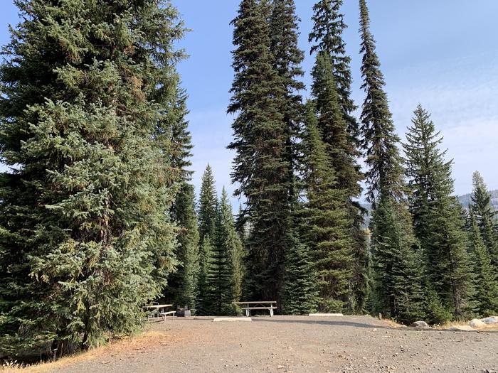 Tall conifer trees surround graveled parking area, with picnic table and fire ring in the background.Grouse Campground Site 8 (double site)