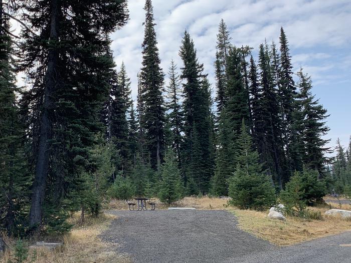 Single site with graveled parking, and picnic table surrounded by tall conifer trees.Grouse Campground Site 19 (single site)
