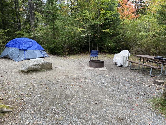 Site B10 with small tent
