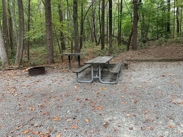 A photo of Site 062 of Loop B at NORTH BEND PARK with Picnic Table, Fire Pit
