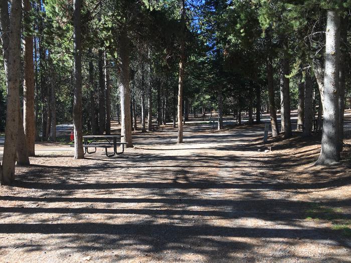 A photo of Site 411 of Loop A at Colter Bay RV Park with Full Hookup