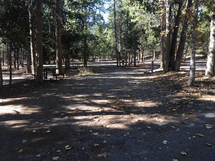 A photo of Site 410 of Loop A at Colter Bay RV Park with Full Hookup