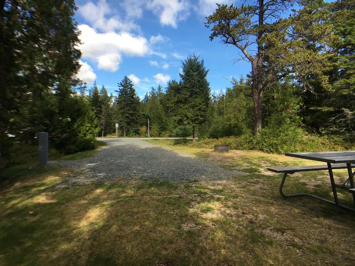A photo of Site A06 of Loop A-Loop at Schoodic Woods Campground with Picnic Table, Electricity Hookup, Fire Pit
