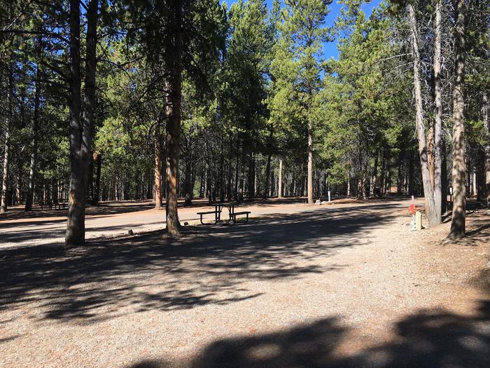 A photo of Site 36 of Loop C at Colter Bay RV Park with Full Hookup