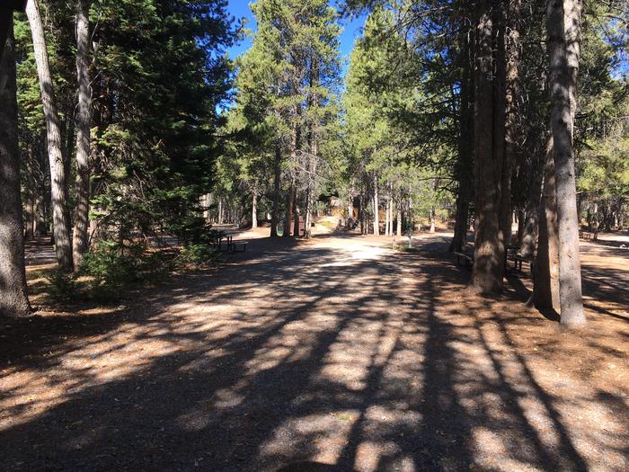 A photo of Site 423 of Loop A at Colter Bay RV Park with Full Hookup