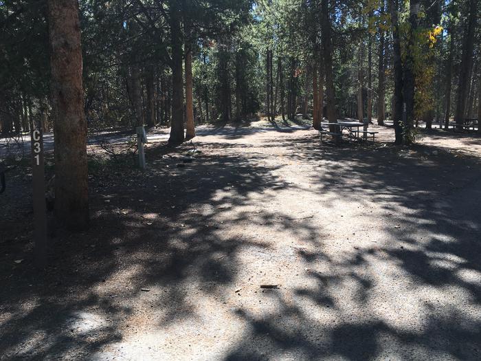 A photo of Site 431 of Loop C at Colter Bay RV Park with Full Hookup