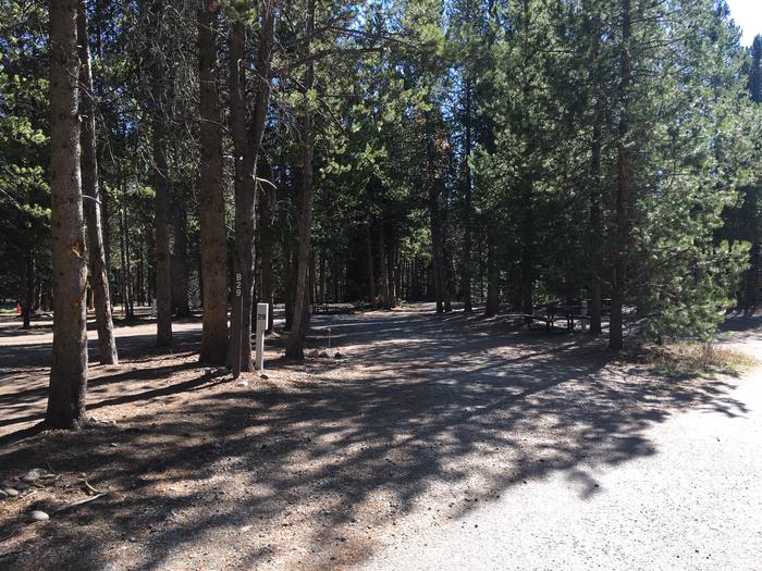 A photo of Site 29 of Loop B at Colter Bay RV Park with Full Hookup