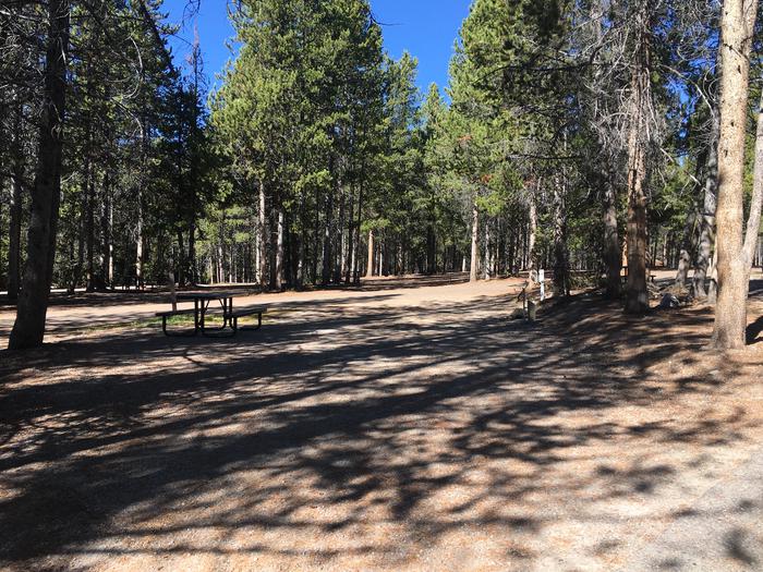A photo of Site 38 of Loop C at Colter Bay RV Park with Full Hookup