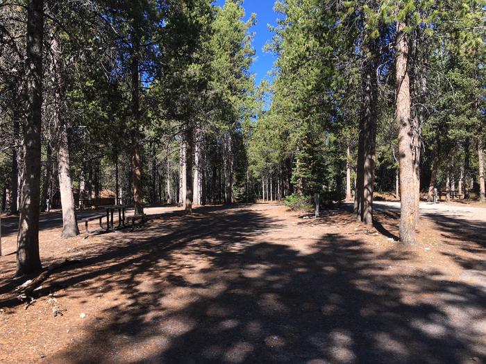 A photo of Site 443 of Loop D at Colter Bay RV Park with Full Hookup