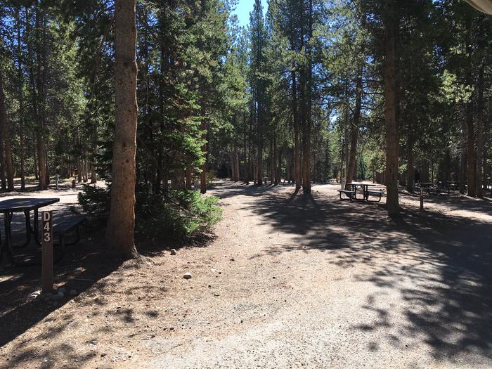 A photo of Site 43 of Loop D at Colter Bay RV Park with Full Hookup