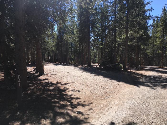 A photo of Site 441 of Loop D at Colter Bay RV Park with Full Hookup