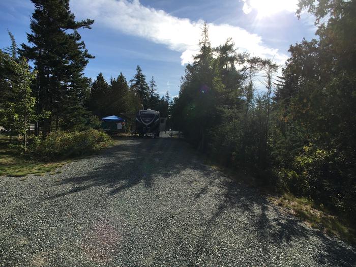 A photo of Site B19 while OccupiedA photo of Site B19 of Loop B-Loop at Schoodic Woods Campground with Picnic Table, Electricity Hookup, Fire Pit, Water Hookup