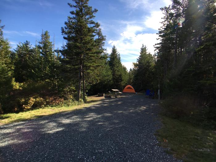 A photo of Site A46 while OccupiedA photo of Site A46 of Loop A-Loop at Schoodic Woods Campground with Picnic Table, Electricity Hookup, Fire Pit