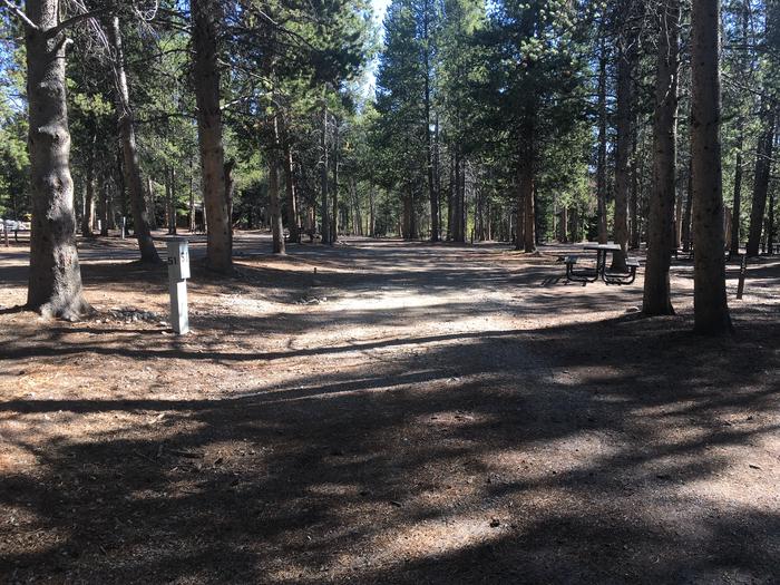 A photo of Site 51 of Loop E at Colter Bay RV Park with Full Hookup