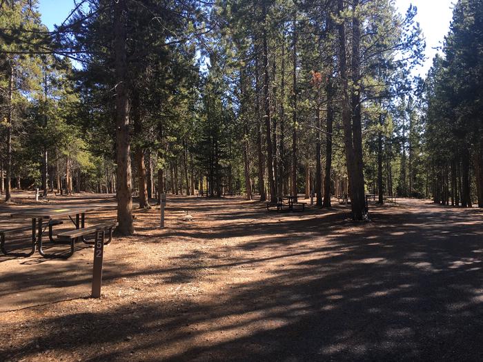 A photo of Site 52 of Loop E at Colter Bay RV Park with Full Hookup