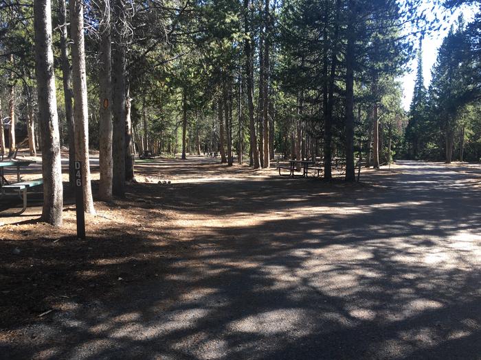 A photo of Site 446 of Loop D at Colter Bay RV Park with Full Hookup