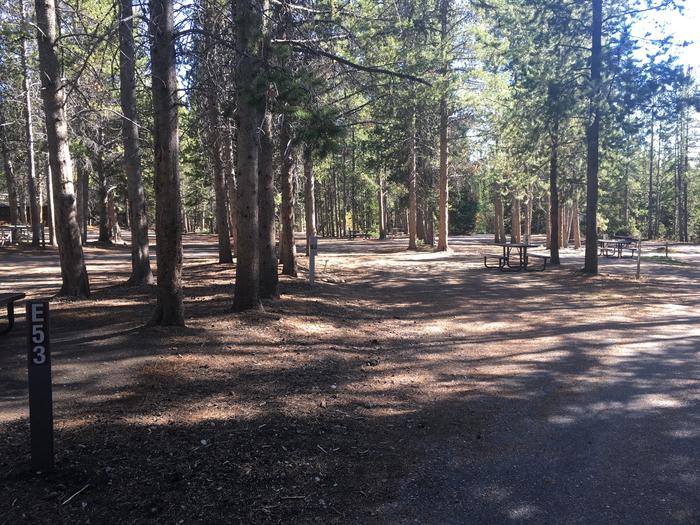 A photo of Site 53 of Loop E at Colter Bay RV Park with Full Hookup