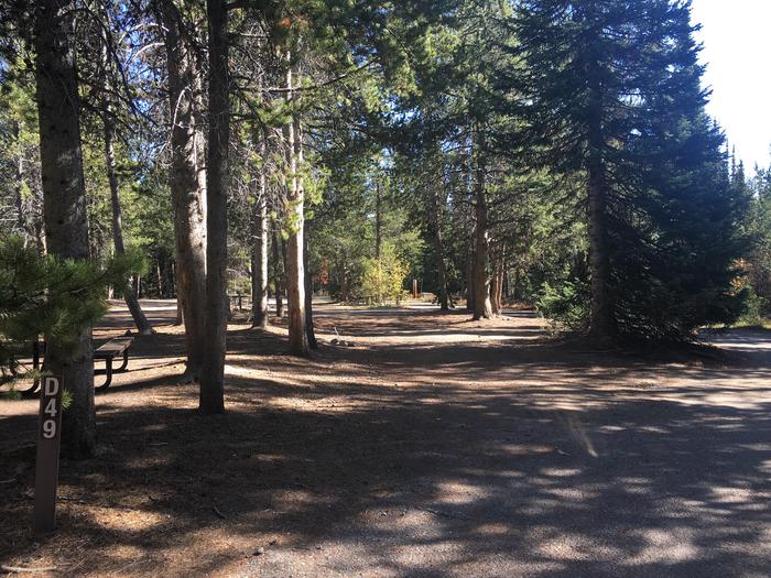 A photo of Site 49 of Loop D at Colter Bay RV Park with Full Hookup